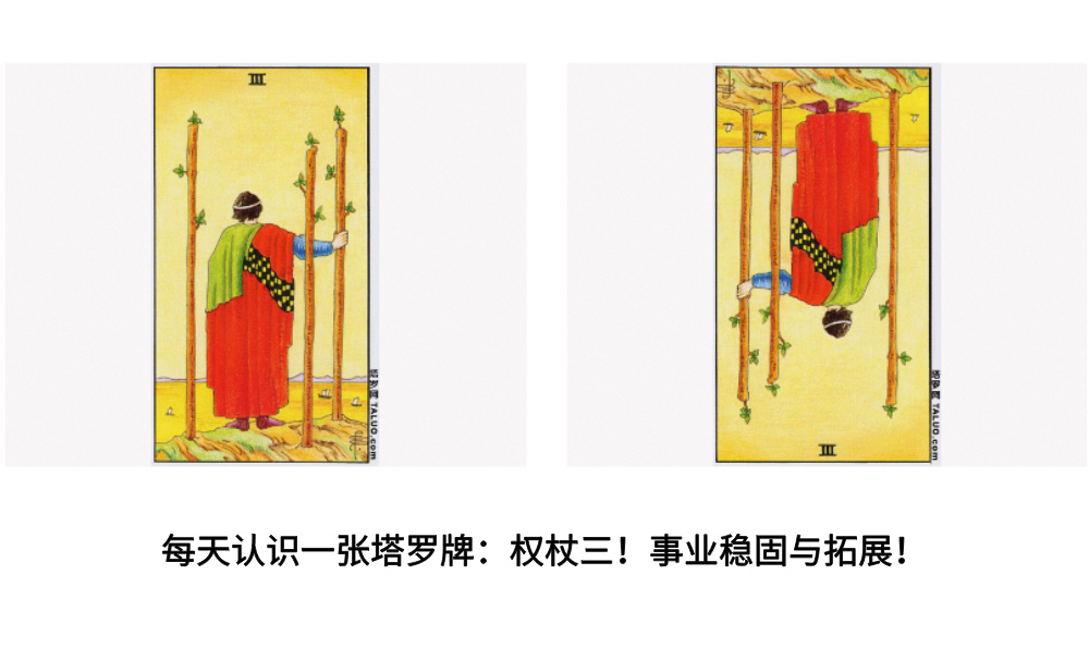 每天认识一张塔罗牌：权杖三！事业稳固与拓展！