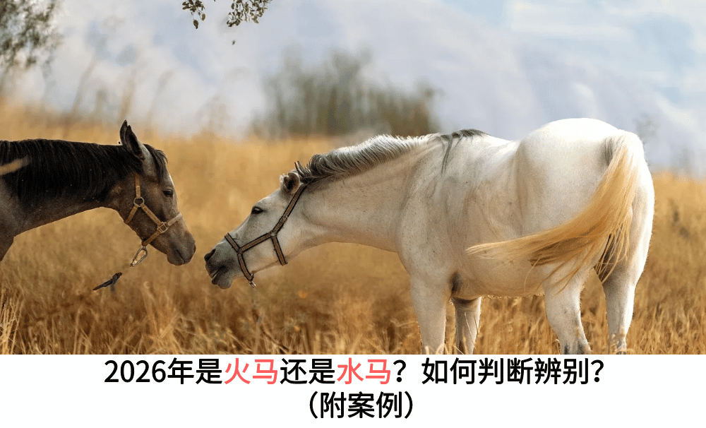 2026年是火马还是水马？如何判断辨别？（附案例）