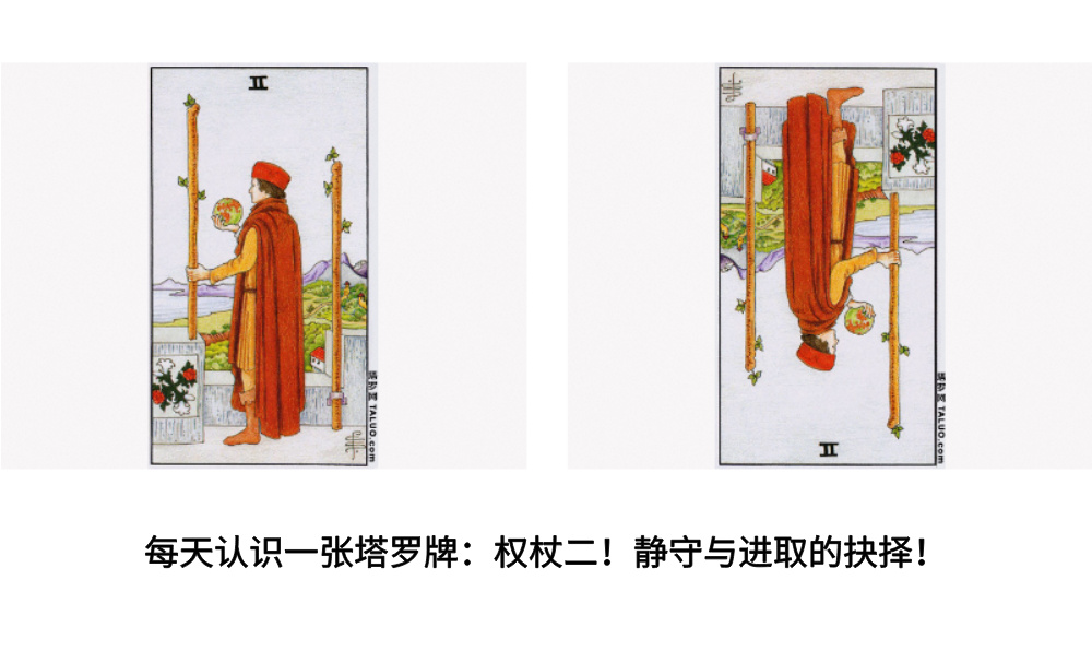 每天认识一张塔罗牌：权杖二！静守与进取的抉择！