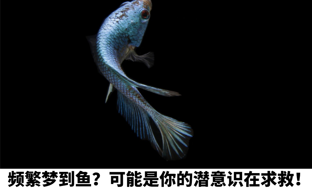 频繁梦到鱼？可能是你的潜意识在求救！