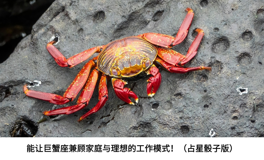 能让巨蟹座兼顾家庭与理想的工作模式！（占星骰子版）