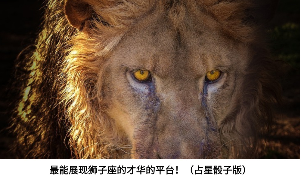最能展现狮子座的才华的平台！（占星骰子版）