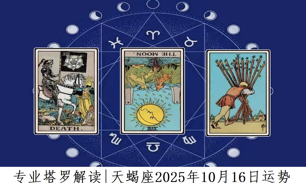 专业塔罗解读|天蝎座2025年10月16日感情、财富、事业运势