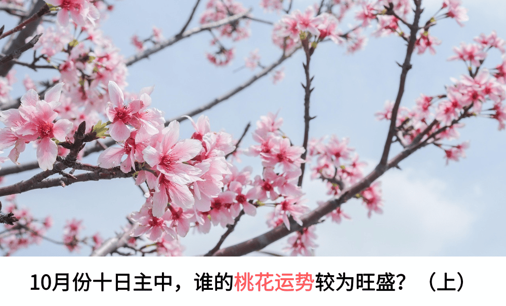 桃花