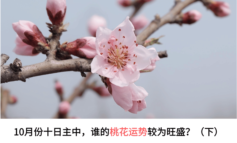 10月感情桃花