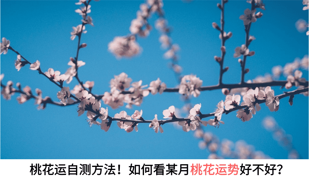 桃花运自测方法