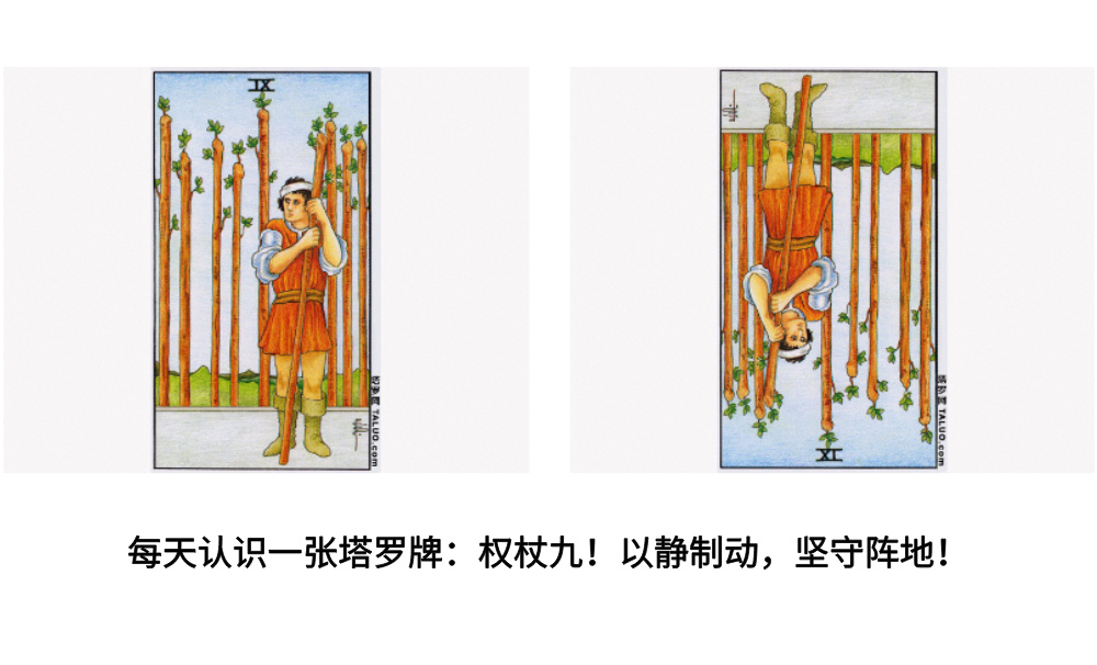 每天认识一张塔罗牌：权杖九！以静制动，坚守阵地！