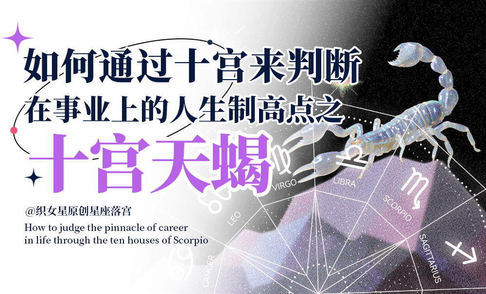 如何通过十宫来判断在事业上的人生制高点之十宫天蝎