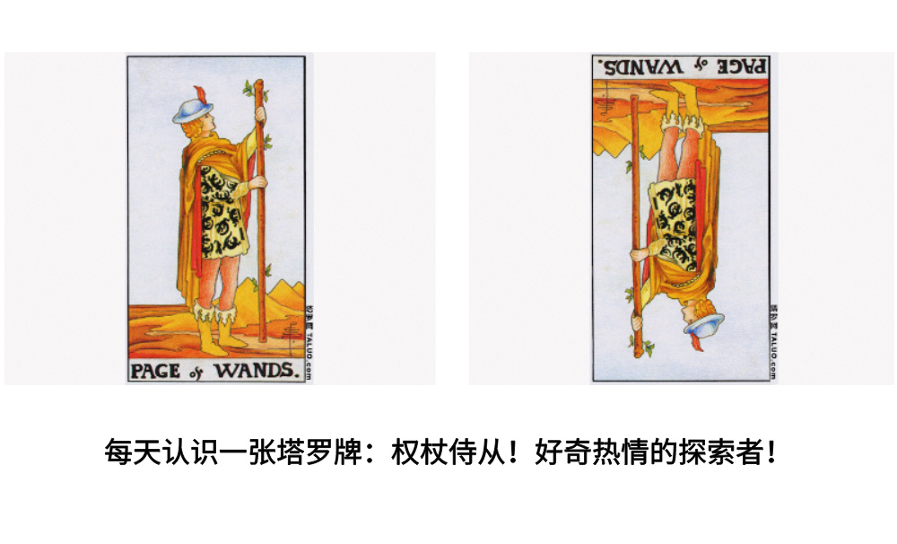每天认识一张塔罗牌：权杖侍从！好奇热情的探索者！