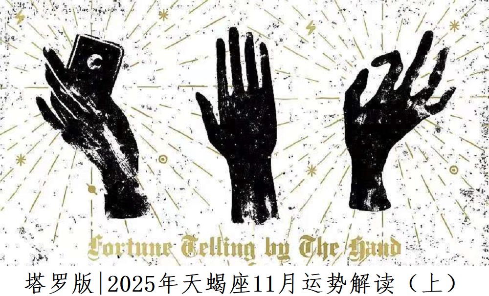 塔罗版|2025年天蝎座11月感情、财富、事业运势解读(上)