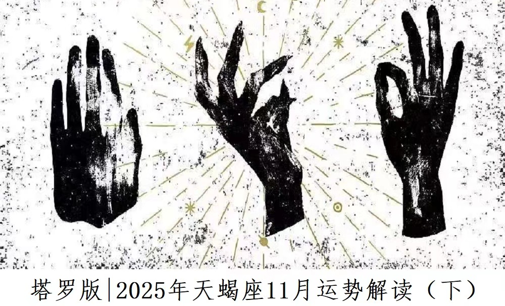 塔罗版|2025年天蝎座11月感情、财富、事业运势解读(下)