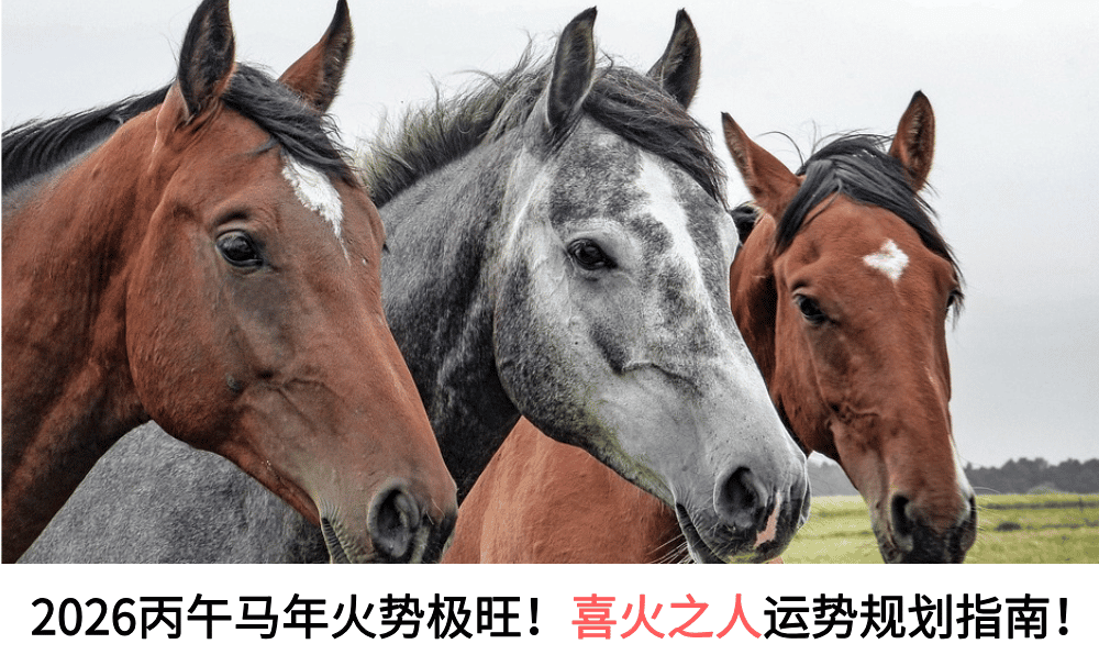 2026丙午马年