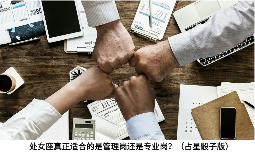 处女座真正适合的是管理岗还是专业岗？（占星骰子版）