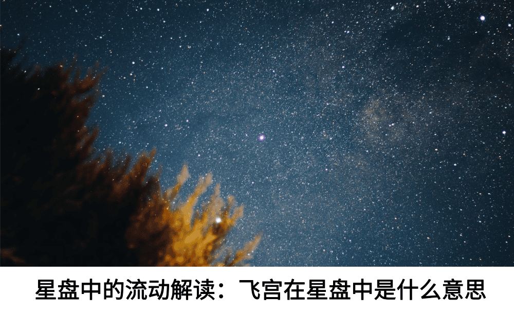 新手教学：星盘中的流动解读飞宫在星盘中是什么意思？