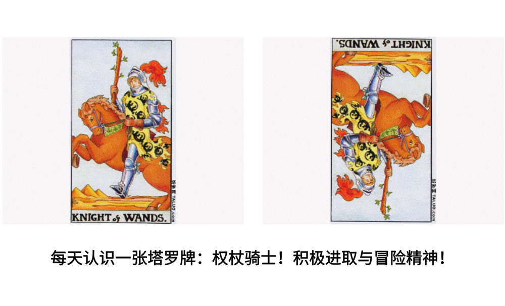 每天认识一张塔罗牌：权杖骑士！积极进取与冒险精神！