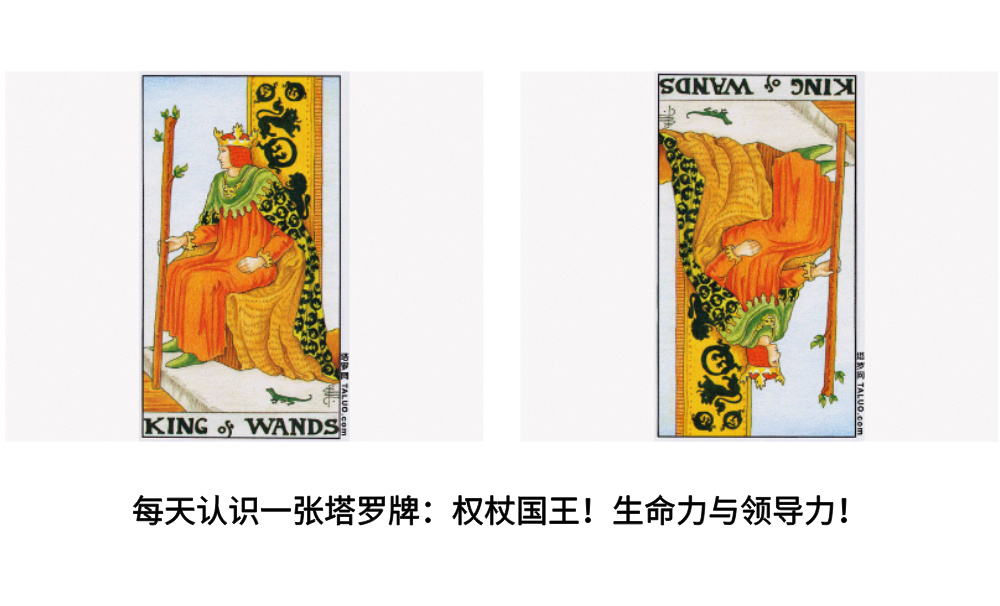 每天认识一张塔罗牌：权杖国王！生命力与领导力！