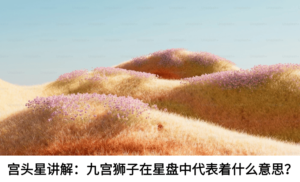 宫头星讲解:九宫狮子在星盘中代表着什么意思?