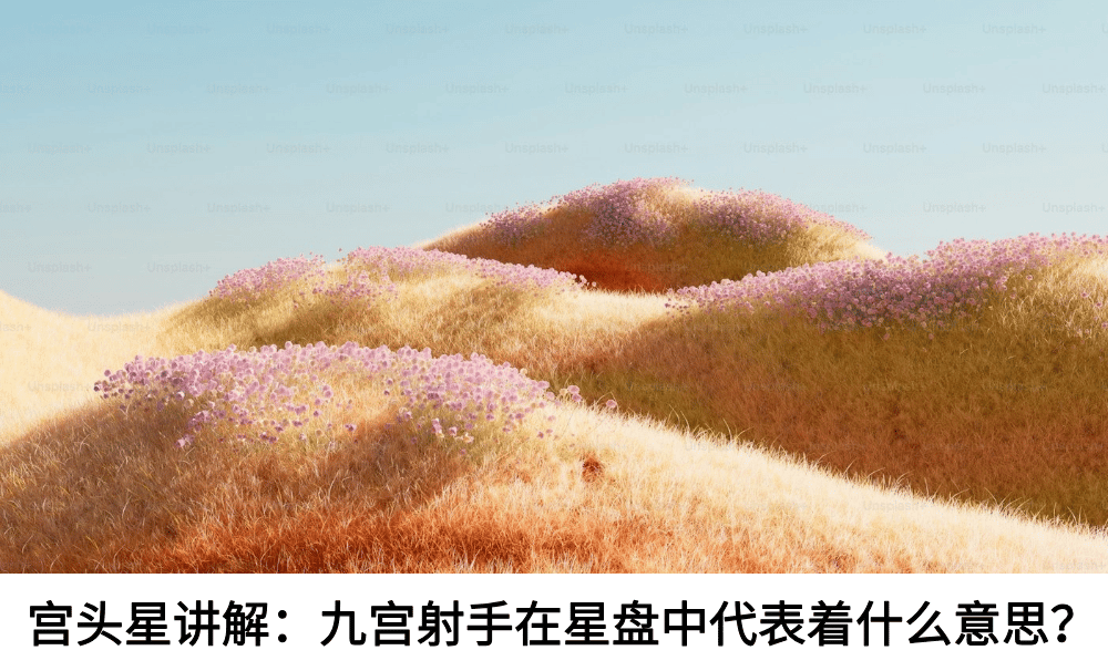 宫头星讲解:九宫射手在星盘中代表着什么意思?