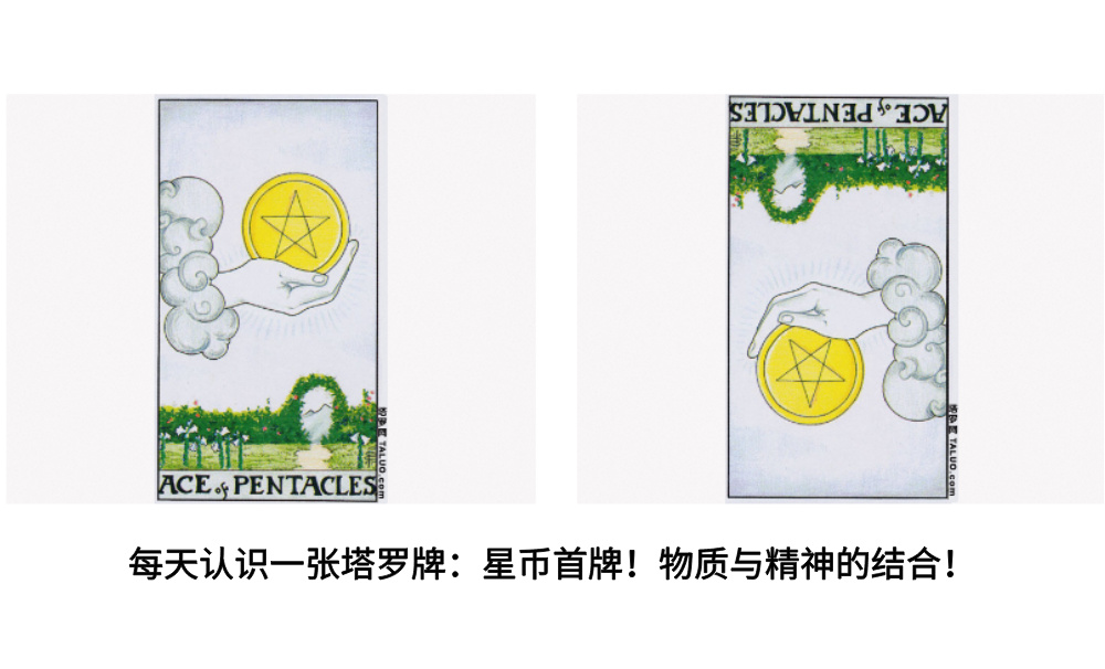 每天认识一张塔罗牌：星币首牌！物质与精神的结合！