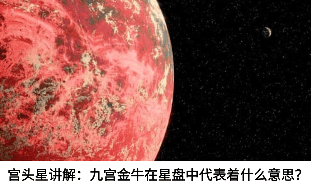 宫头星讲解:九宫金牛在星盘中代表着什么意思?