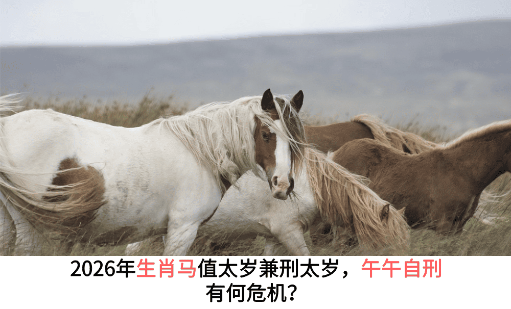 2026年生肖马值太岁兼刑太岁