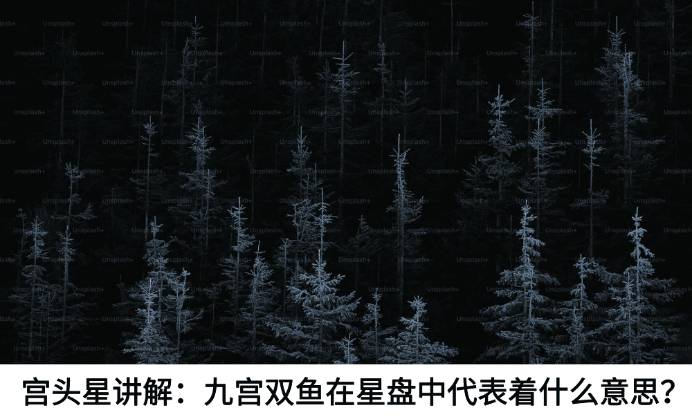 宫头星讲解:九宫双鱼在星盘中代表着什么意思?