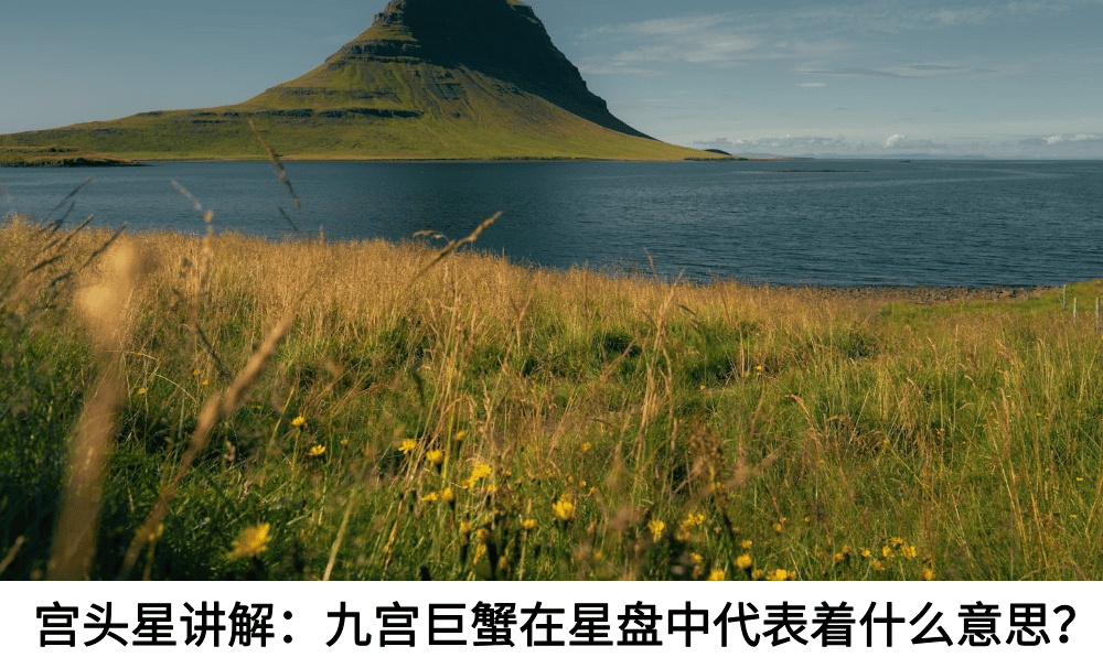 宫头星讲解:九宫巨蟹在星盘中代表着什么意思?