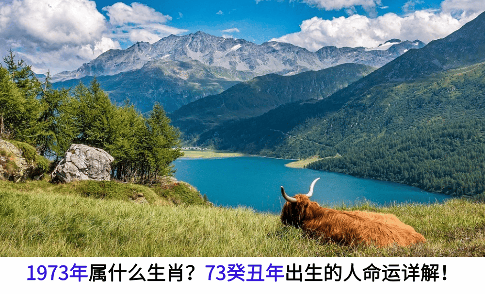 1973年属牛生肖