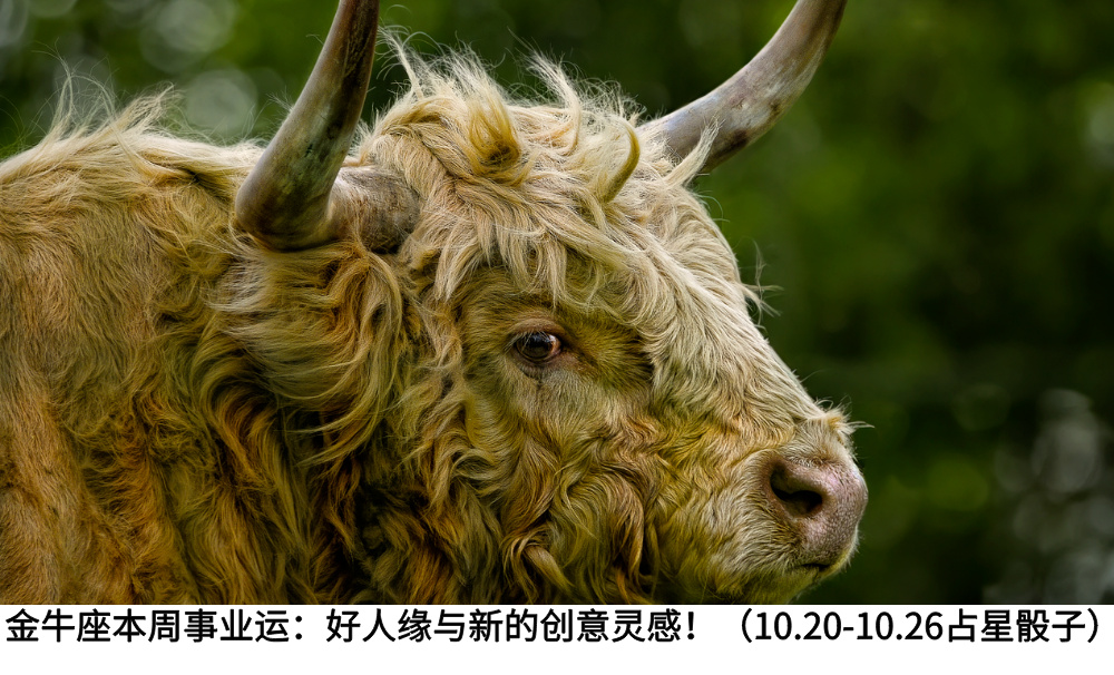 金牛座本周事业运：好人缘与新的创意灵感！（10.20-10.26占星骰子）