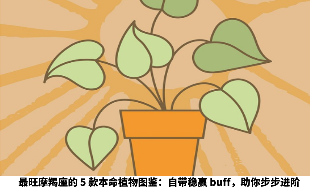 最旺摩羯座的5款本命植物图鉴：自带稳赢buff，助你步步进阶