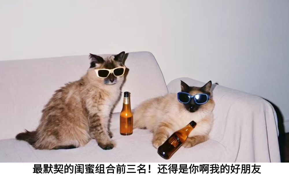 最默契的闺蜜组合前三名！还得是你啊我的好朋友
