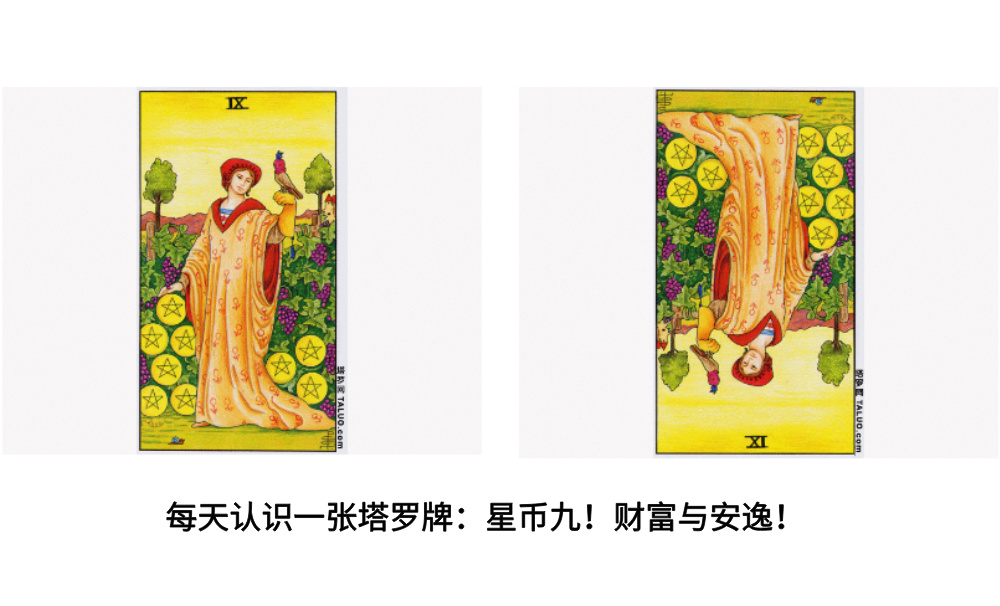 每天认识一张塔罗牌：星币九！财富与安逸！