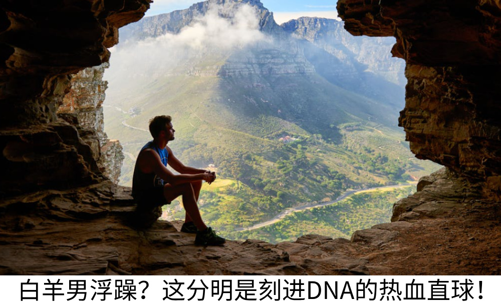白羊男浮躁？这分明是刻进DNA的热血直球！