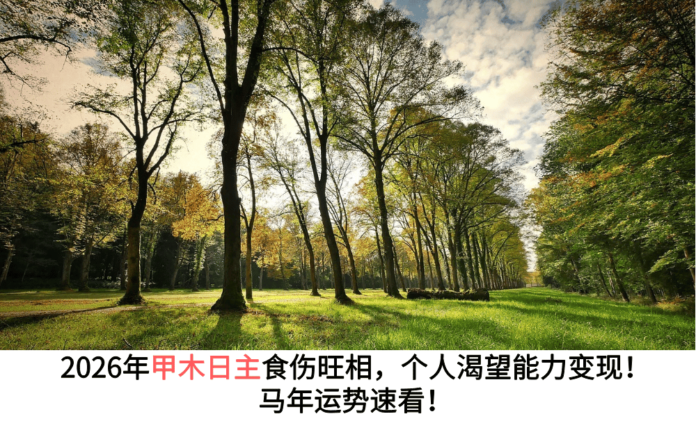 2026年甲木日主食伤旺相,个人渴望能力变现!马年运势速看!