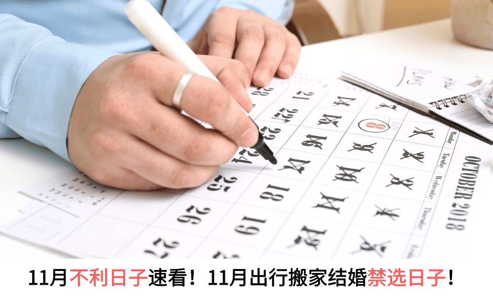 11月不利日子