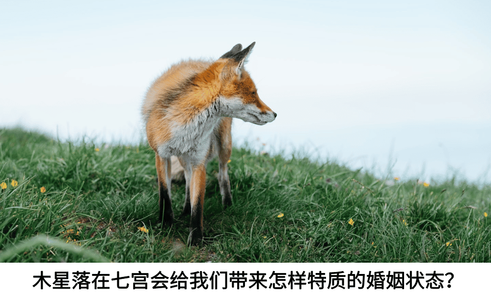 木星落在七宫会给我们带来怎样特质的婚姻状态？
