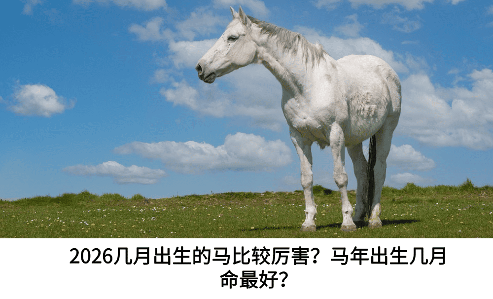 2026几月出生的马比较厉害？马年出生几月命最好？