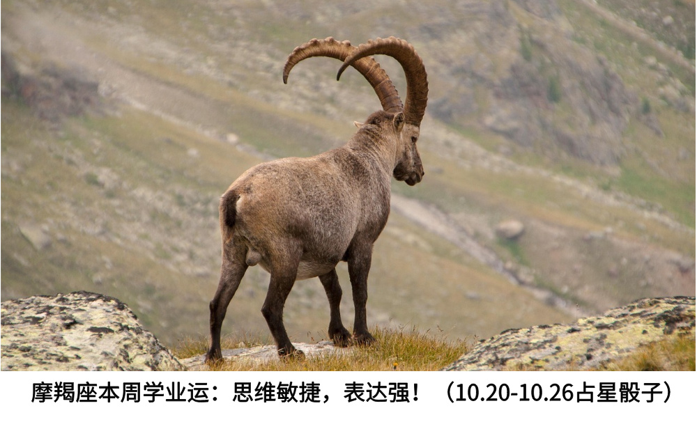 摩羯座本周学业运：思维敏捷，表达强！（10.20-10.26占星骰子）