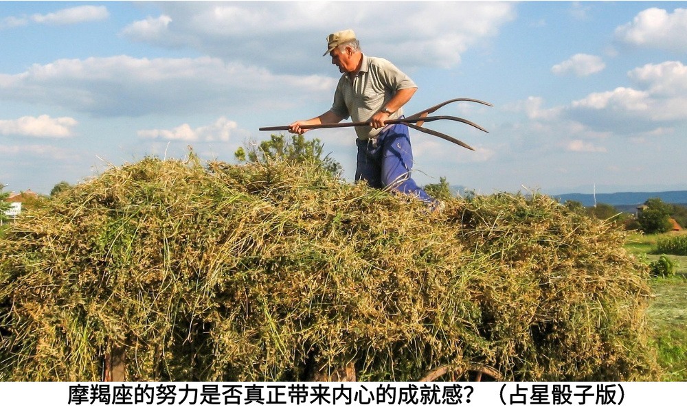 摩羯座的努力是否真正带来内心的成就感？（占星骰子版）