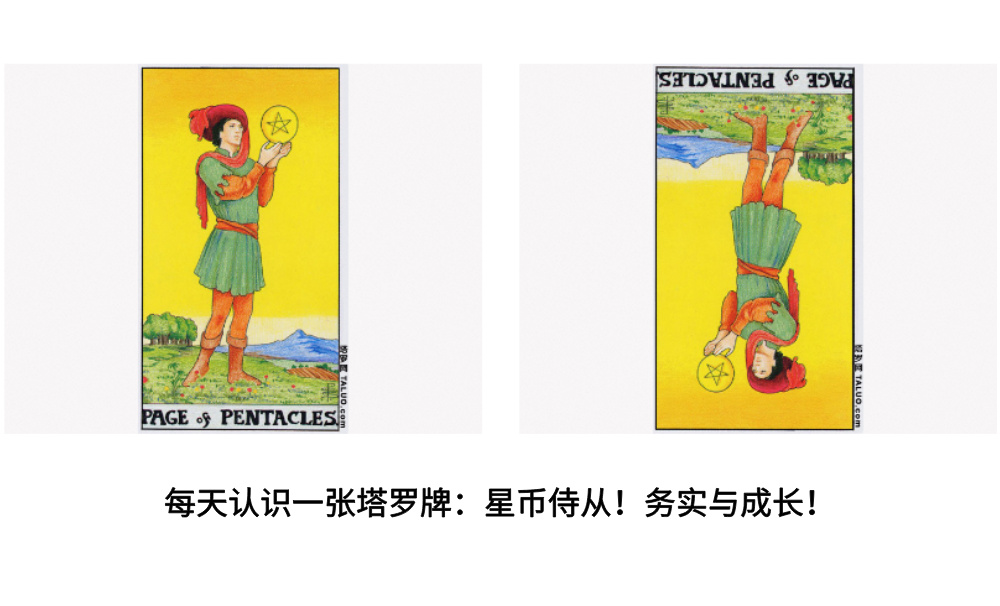 每天认识一张塔罗牌：星币侍从！务实与成长！
