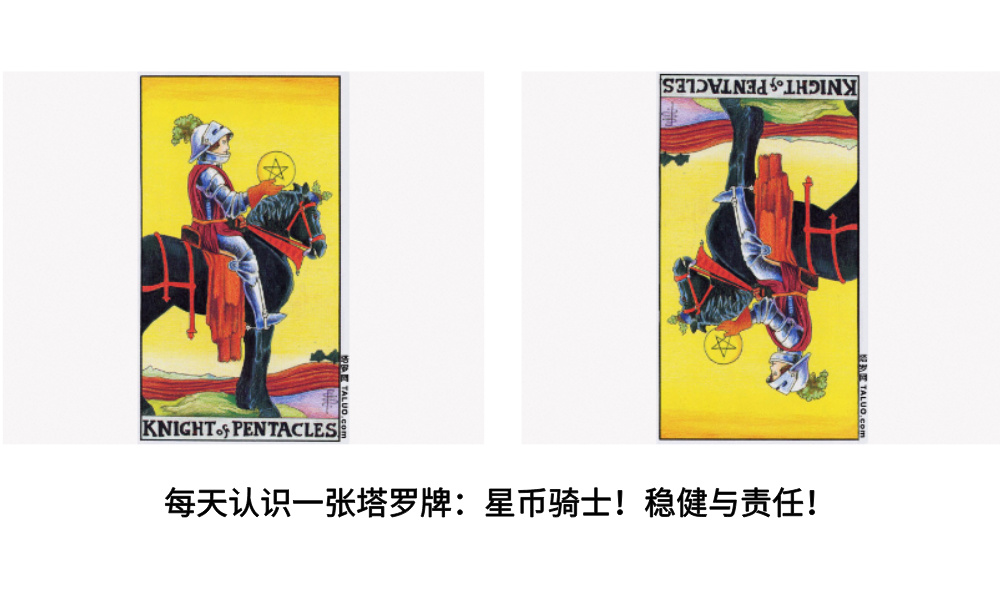 每天认识一张塔罗牌：星币骑士！稳健与责任！
