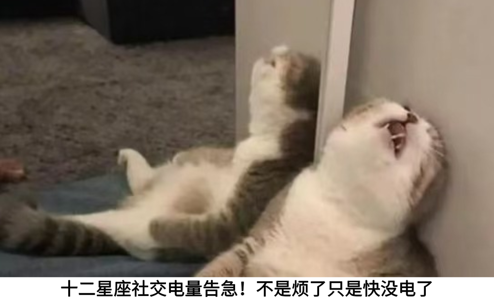 十二星座社交电量告急！不是烦了只是快没电了