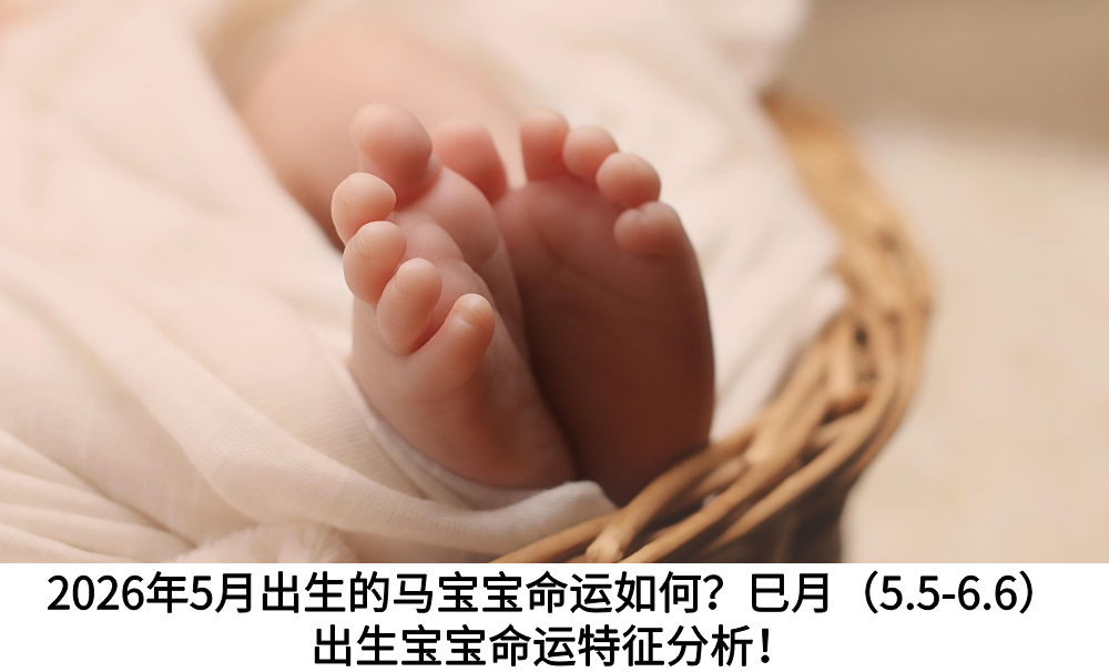 2026年5月宝宝