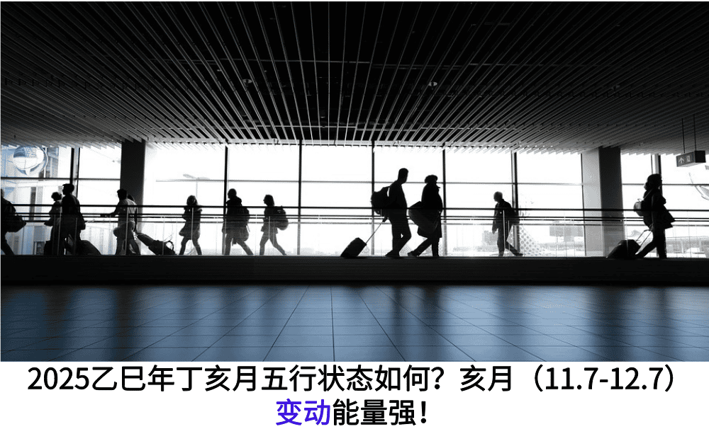  2025乙巳年丁亥月五行状态如何？亥月（11.7-12.7）变动能量强！