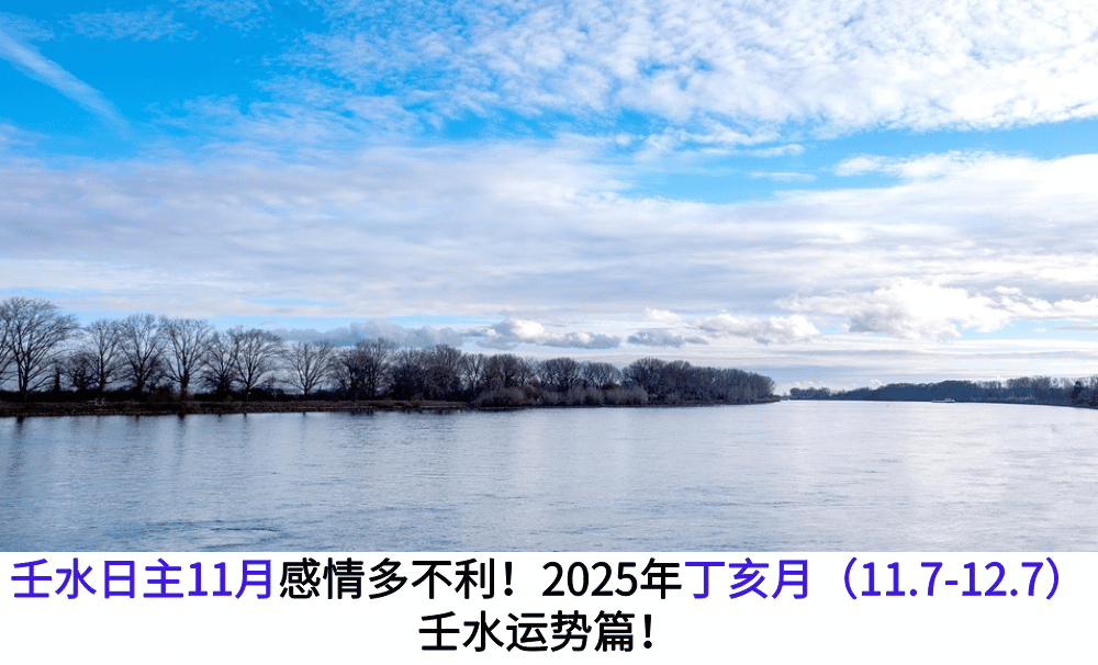 壬水日主11月