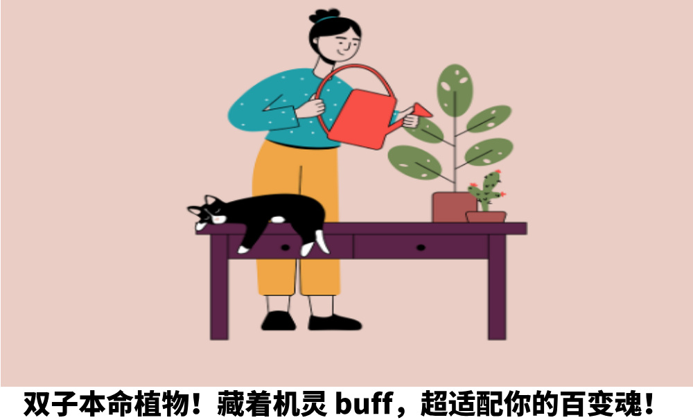 双子本命植物！藏着机灵buff，超适配你的百变魂！