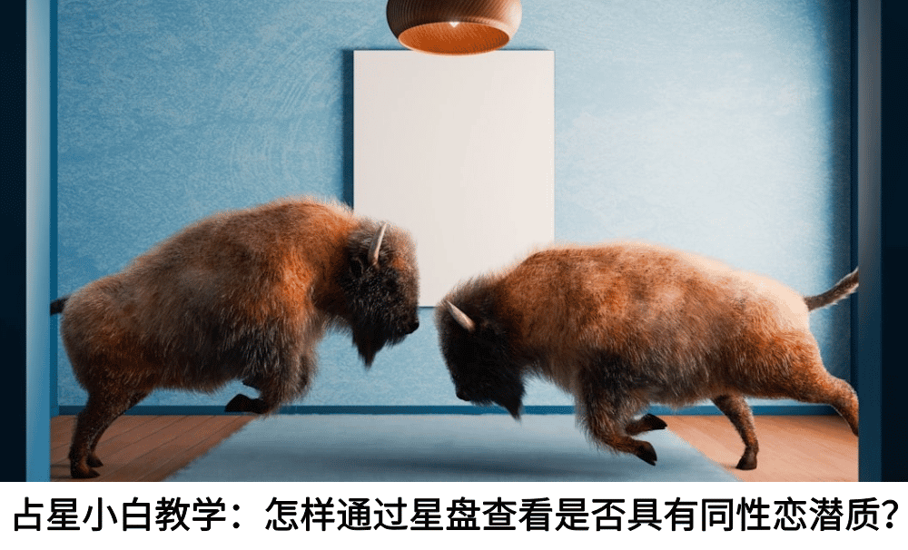 占星小白教学：怎样通过星盘查看是否具有同性恋潜质？