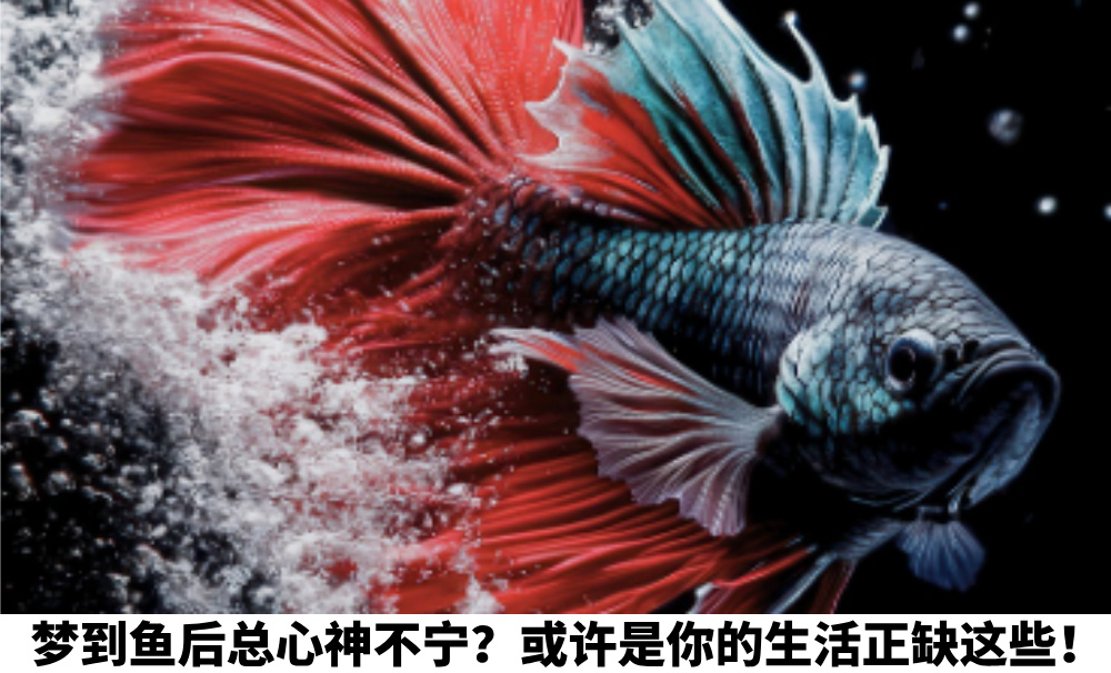 梦到鱼后总心神不宁？或许是你的生活正缺这些！
