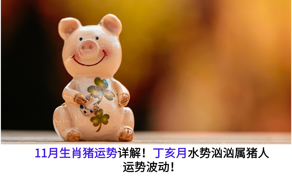 11月生肖猪运势