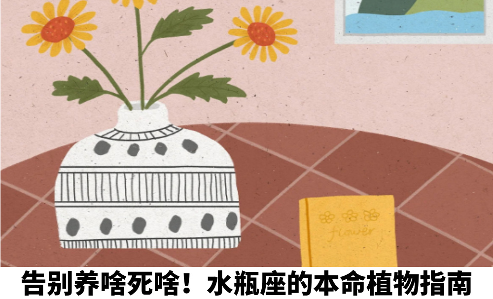 告别养啥死啥！水瓶座的本命植物指南